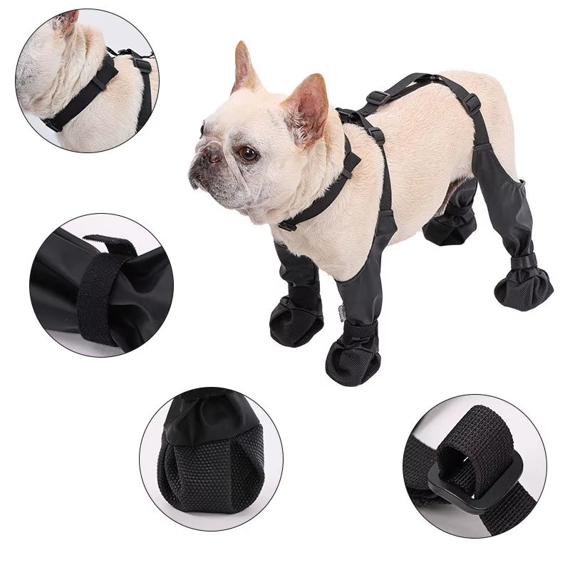 Dog Suspender Boots