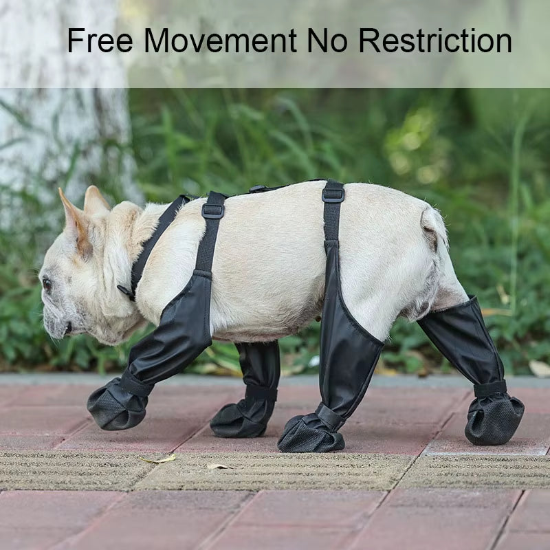 Dog Suspender Boots