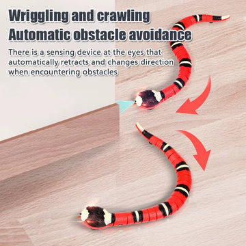Smart Sensing Snake Cat Toy