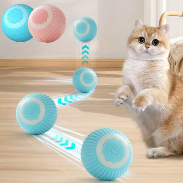 Cat Automatic Rolling Ball