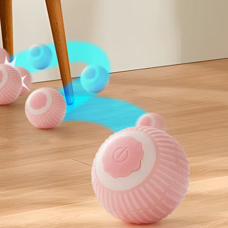 Cat Automatic Rolling Ball
