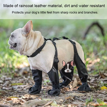 Dog Suspender Boots