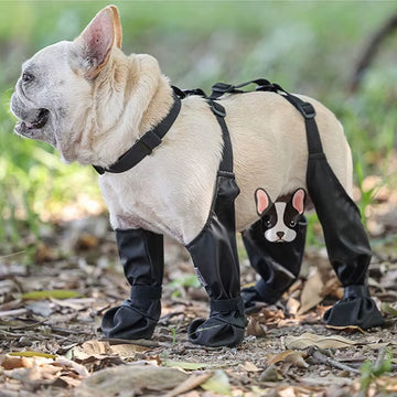 Dog Suspender Boots