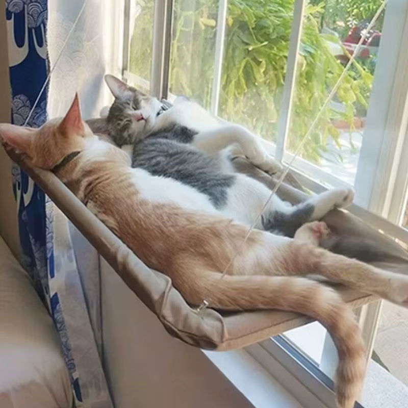 Cat Window Hammock