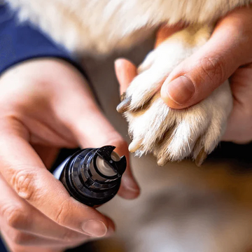 Electric Pet Nail Clipper