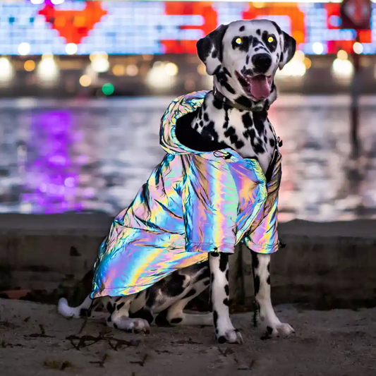 Dog Reflective Jacket