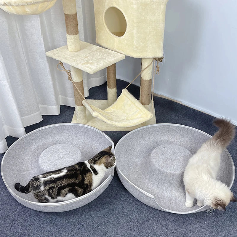 Cat Donut Interactive Bed