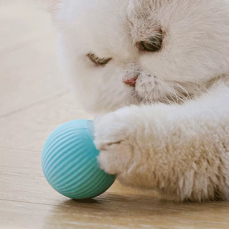 Cat Automatic Rolling Ball
